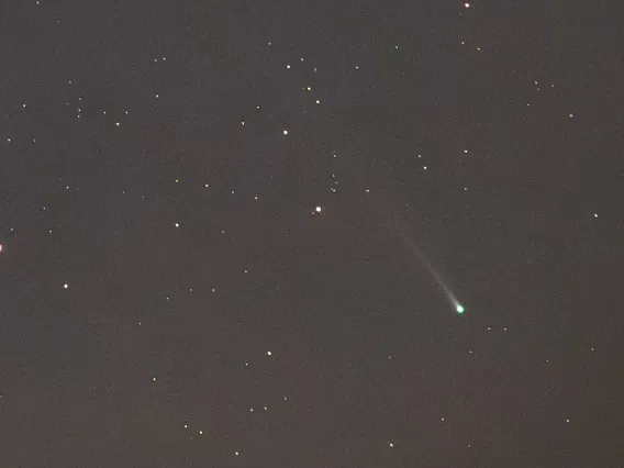 Photo of Comet Nishimura.