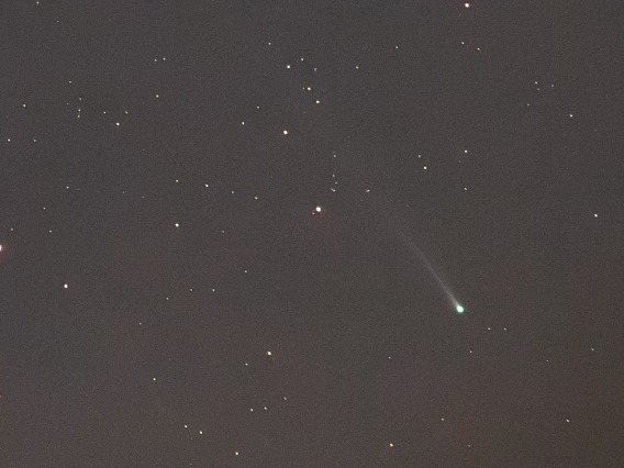 Photo of Comet Nishimura.