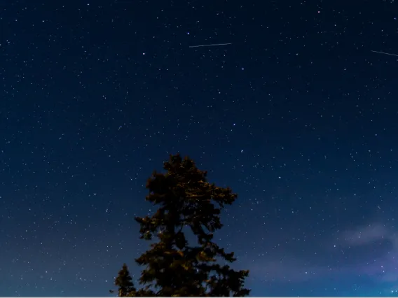 Photo showing bright streaks in an arc across the night sky that are caused by the satellite BlueWalker 3. 