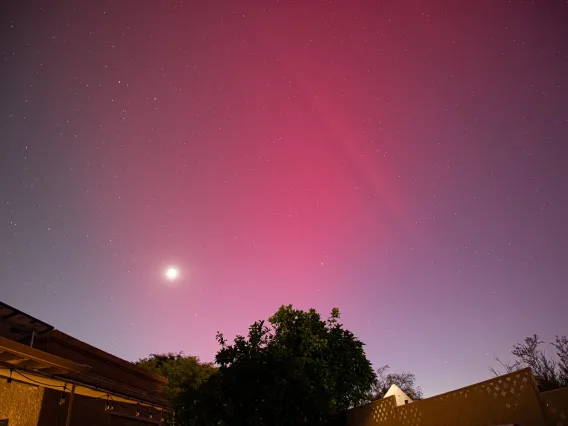 Photo of the northern lights, taken in Tucson