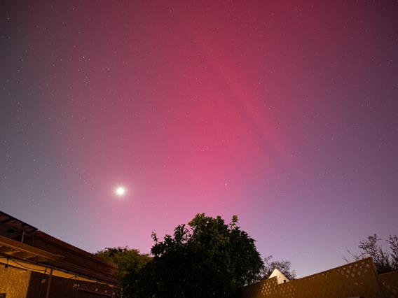Photo of the northern lights, taken in Tucson