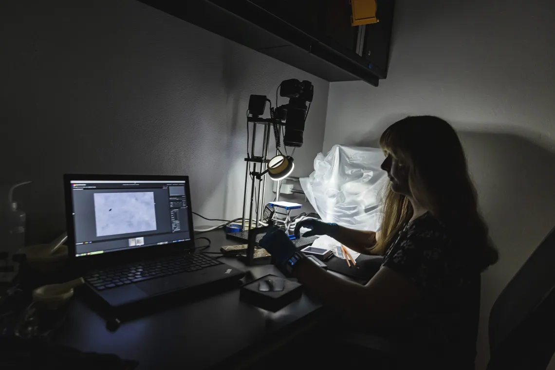 Photo of a student in a lab.